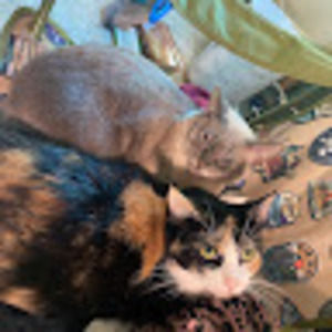 Meet your Posher, Ian